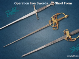 Operation Iron Swords Short Form